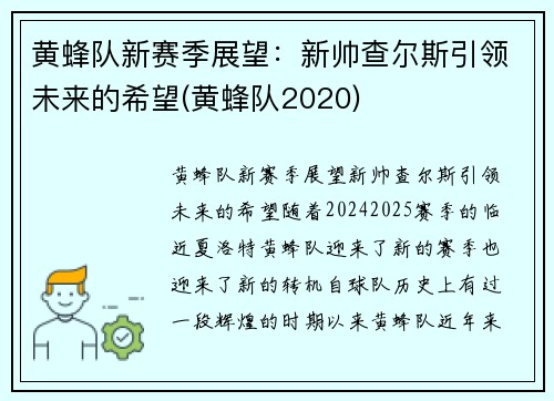 黄蜂队新赛季展望:新帅查尔斯引领未来的希望(黄蜂队2020)